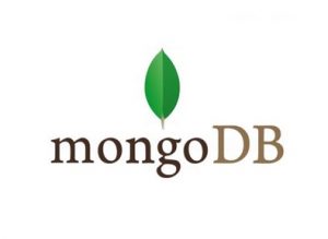 Windows 下 MongoDB(4.0.2) Zip 版安装教程